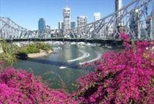 Brisbane Highlights with Koala Sanctuary